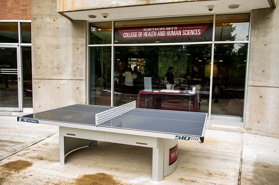 Living Learning Communities Ping Pong